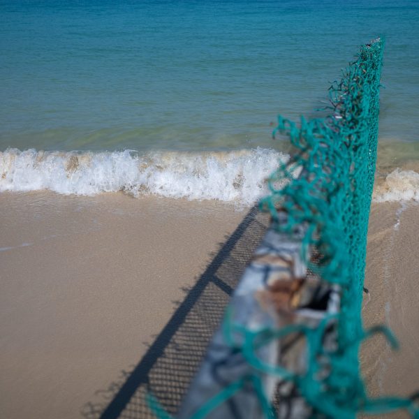 夏日海滨