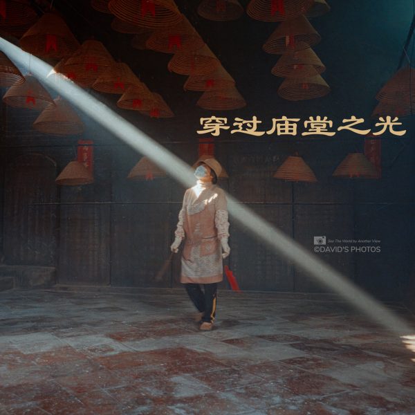 穿过庙堂之光