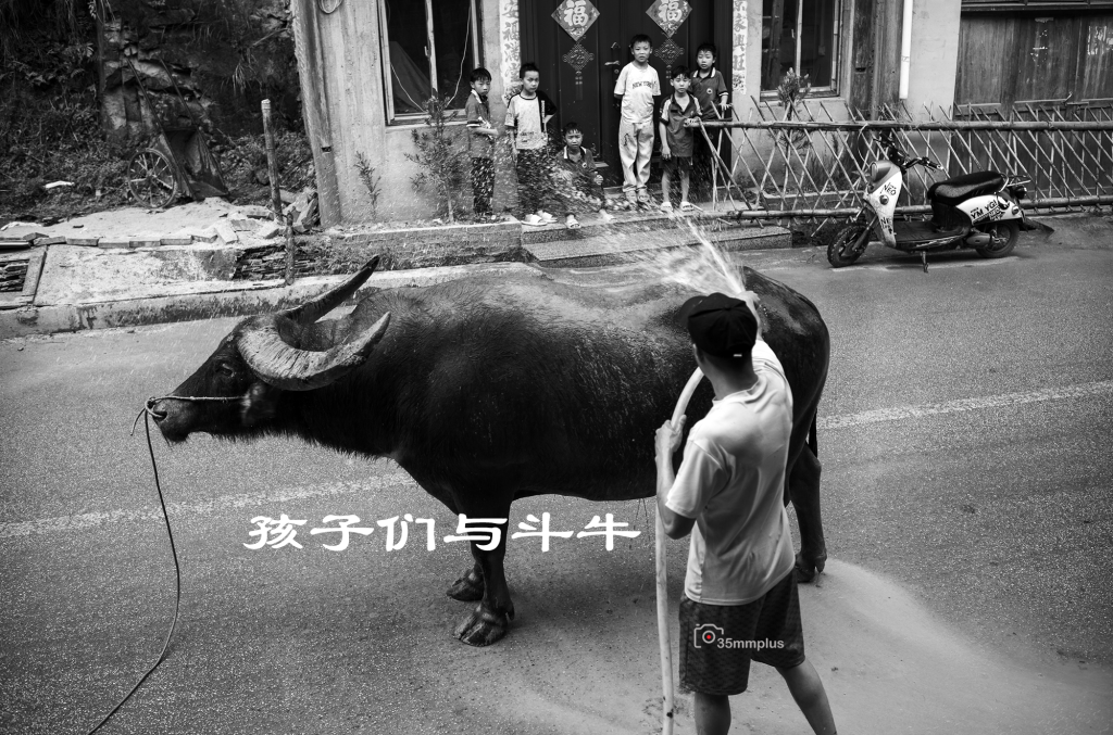 孩子们与斗牛