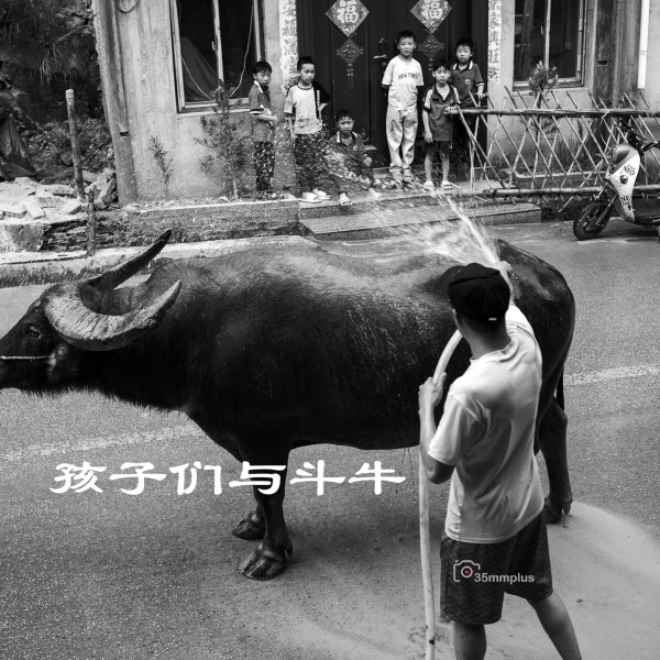 孩子们与斗牛