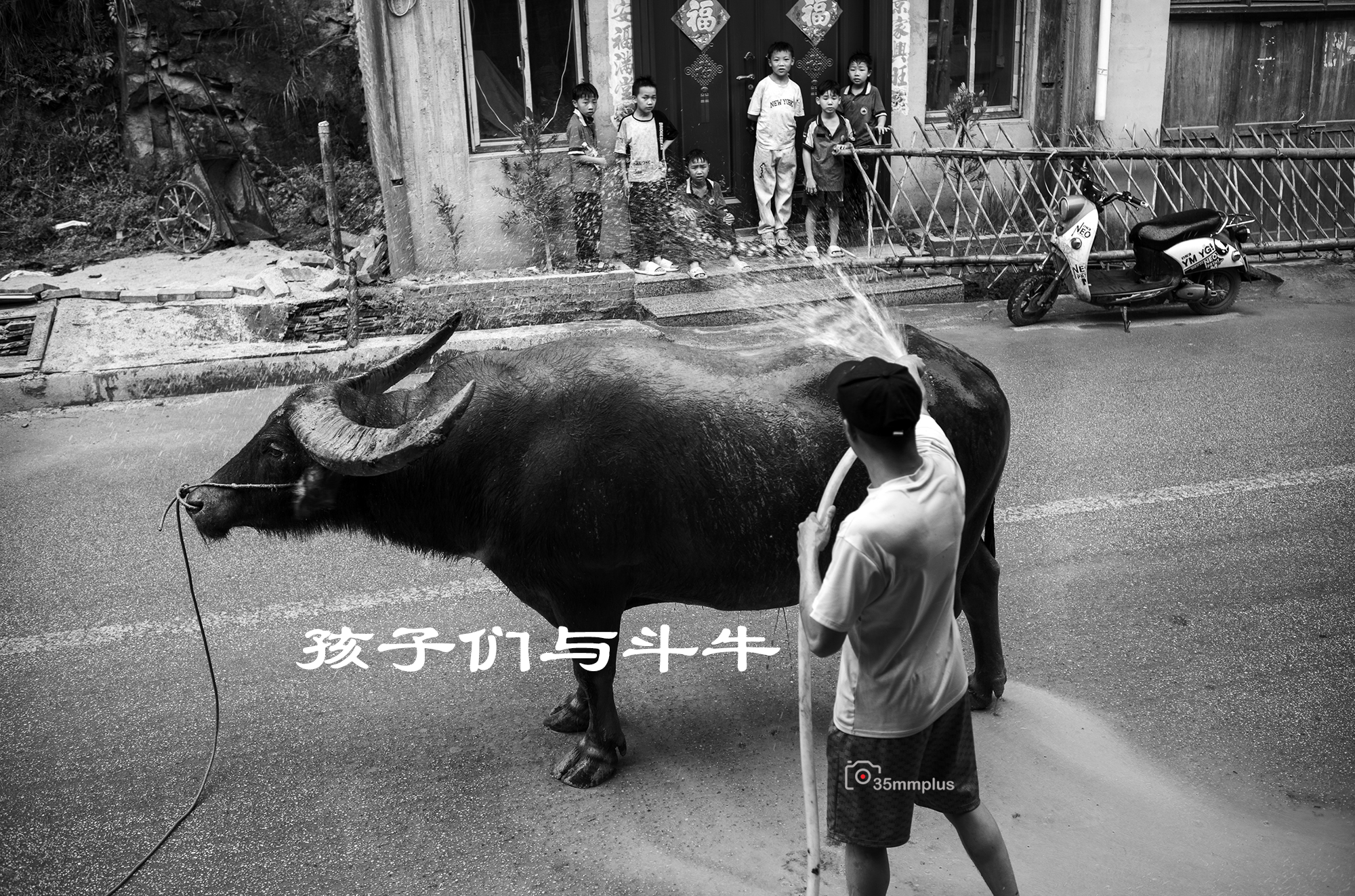 孩子们与斗牛